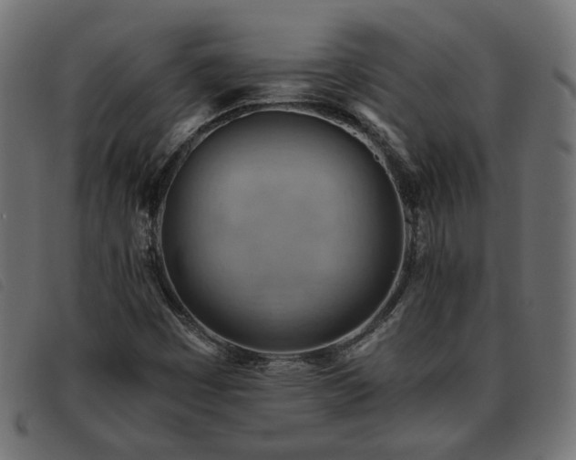 X0000093591449200710151155