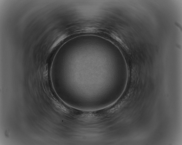 X0000093591450200710151155