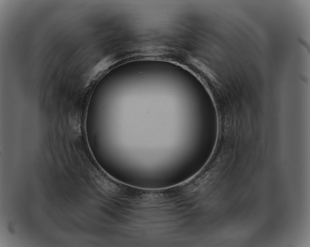 X0000093591451200710151155