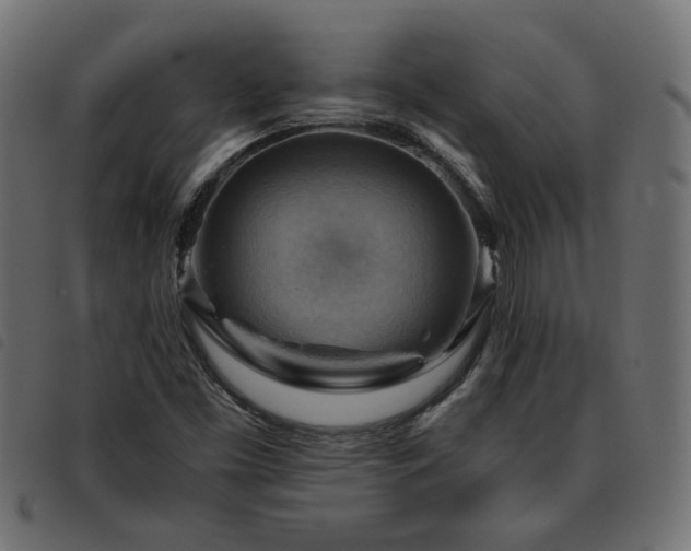 X0000093591453200710151155