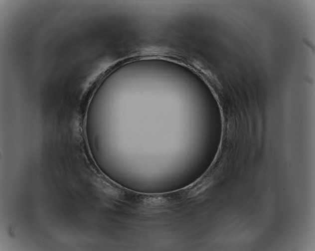 X0000093591454200710151155