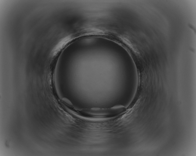 X0000093591455200710151155