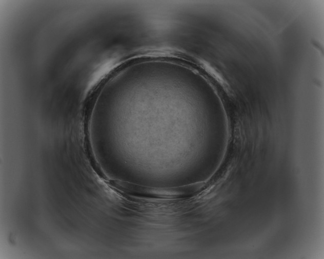 X0000093591456200710151155