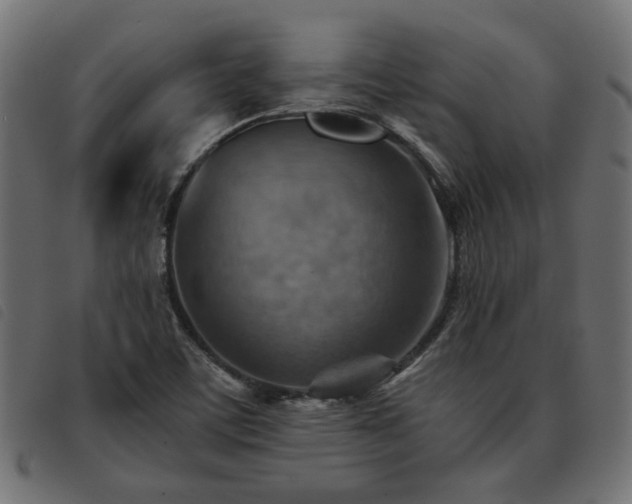 X0000093591459200710151155