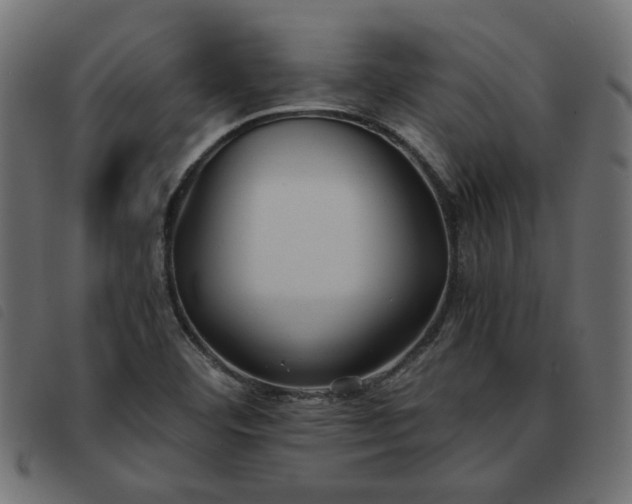 X0000093591460200710151155