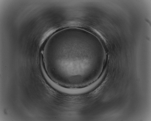 X0000093591461200710151155