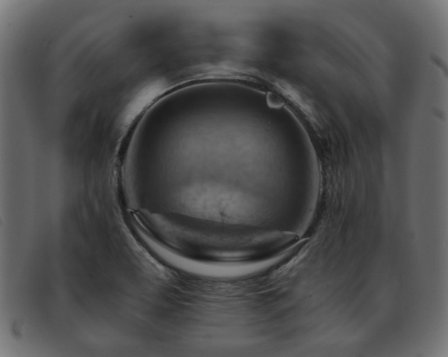 X0000093591463200710151154