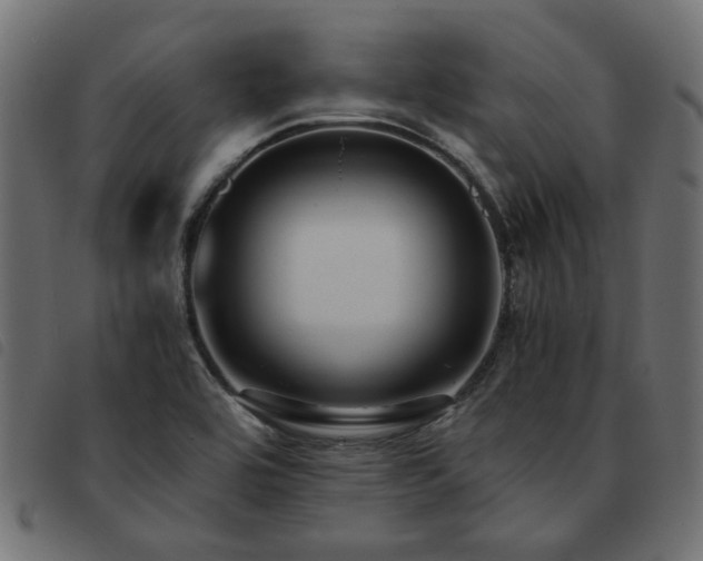 X0000093591464200710151154