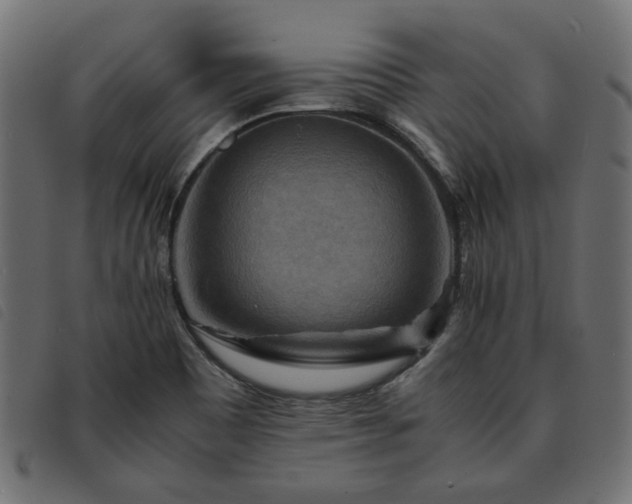 X0000093591465200710151154