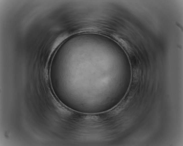 X0000093591466200710151154