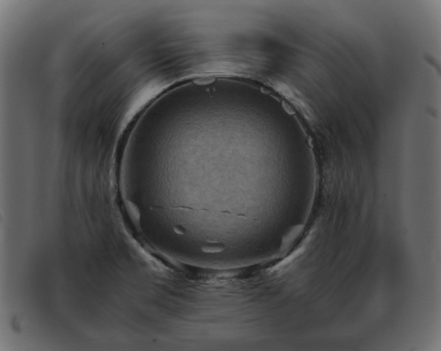 X0000093591469200710151154