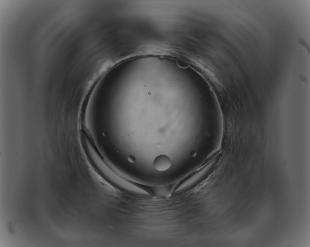 X0000093591471200710151154