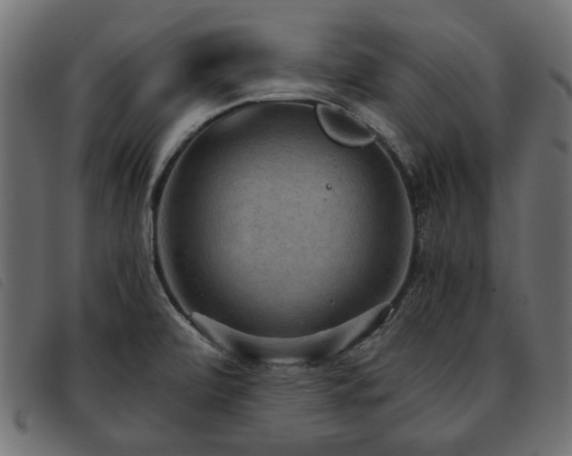 X0000093591472200710151154