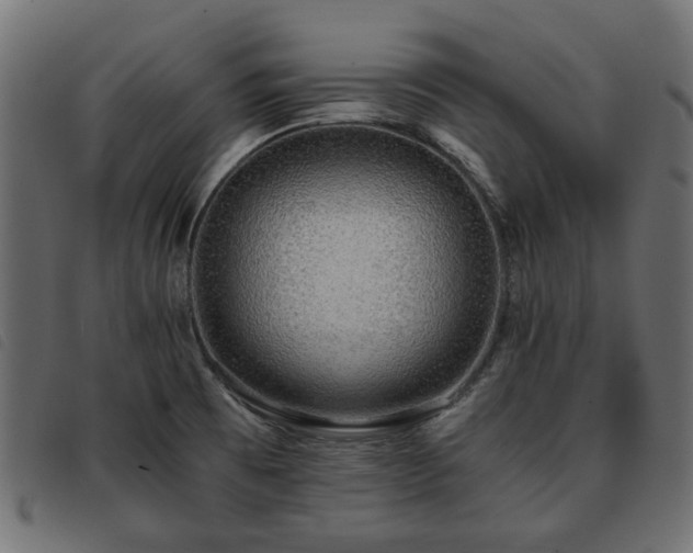 X0000093591473200710151154