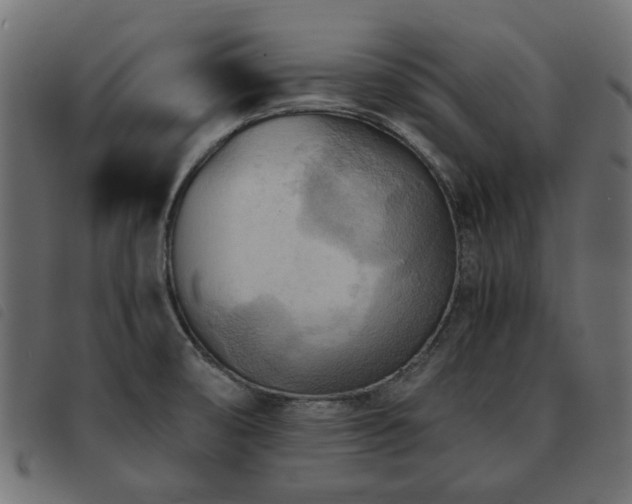 X0000093591474200710151154