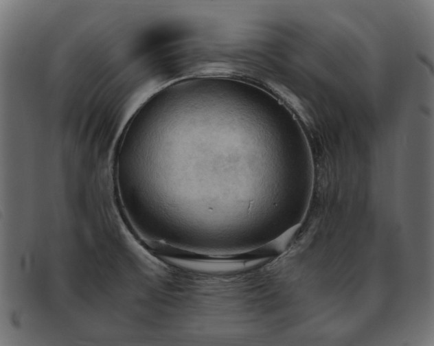 X0000093591475200710151154