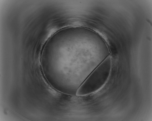 X0000093591477200710151154