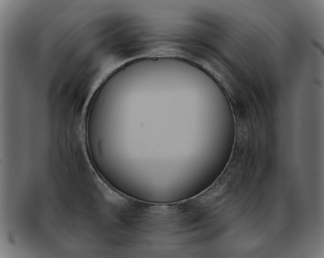 X0000093591478200710151154