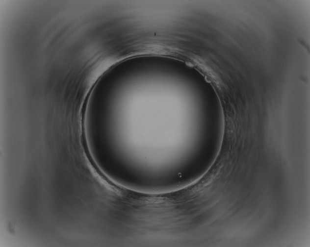 X0000093591479200710151154