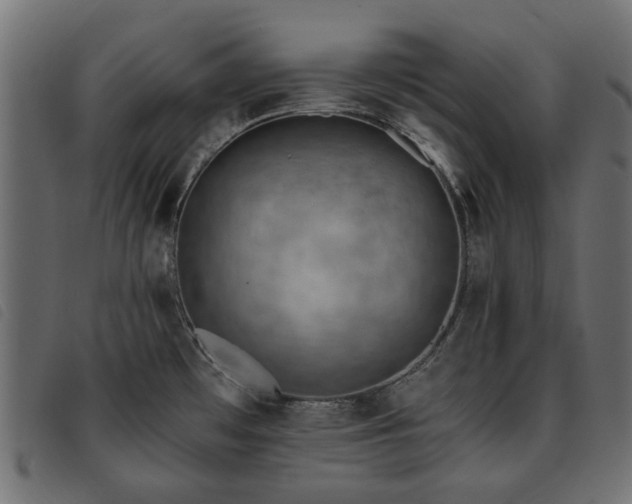 X0000093591481200710151154