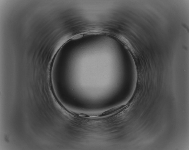 X0000093591483200710151154