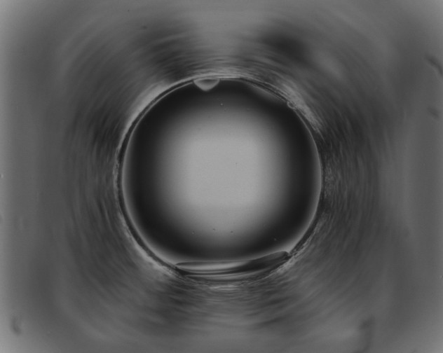 X0000093591484200710151154