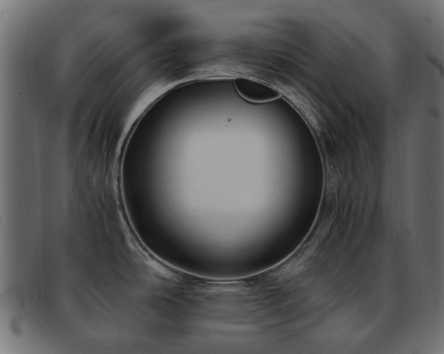 X0000093591486200710151154