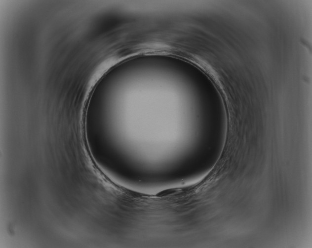 X0000093591488200710151154