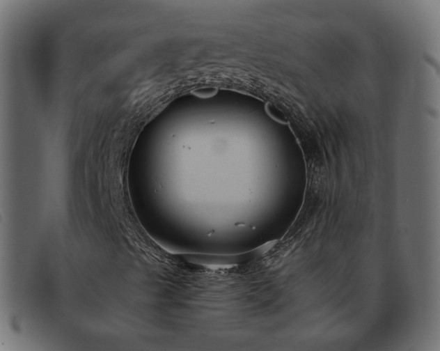 X0000093591489200710151154