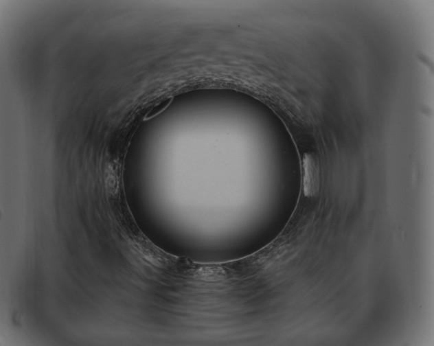 X0000093591491200710151154