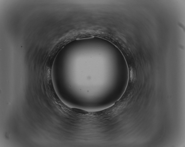 X0000093591492200710151154