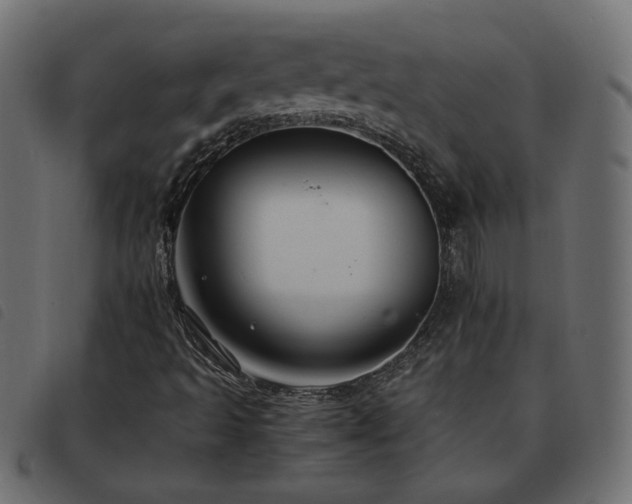 X0000093591493200710151154