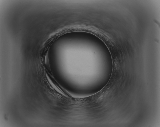 X0000093591494200710151154
