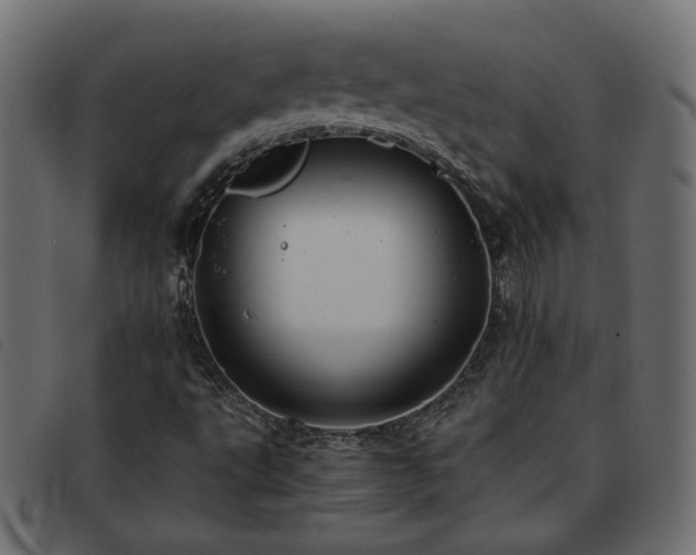 X0000093591495200710151154