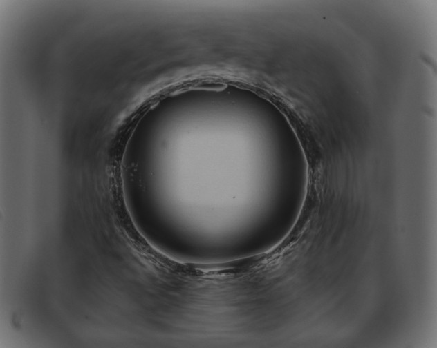 X0000093591496200710151154