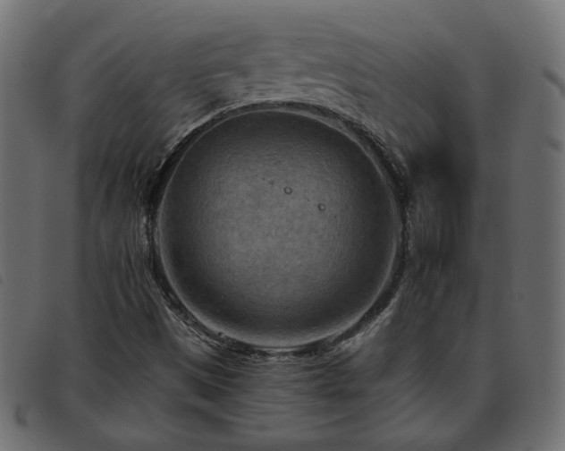 X0000093591497200710151154