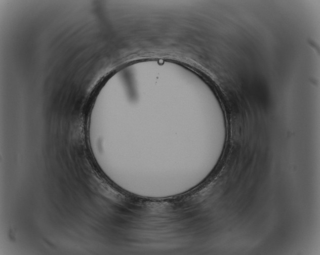 X0000093591498200710151154