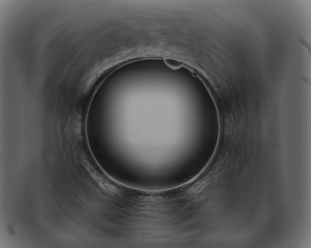 X0000093591499200710151154