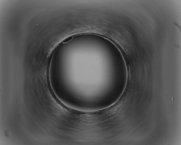 X0000093591500200710151154