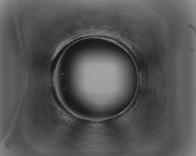 X0000093591501200710151154