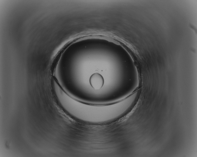 X0000093591502200710151154