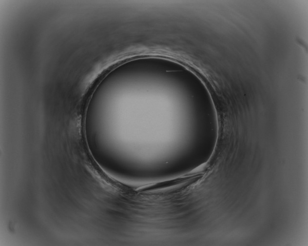 X0000093591503200710151154