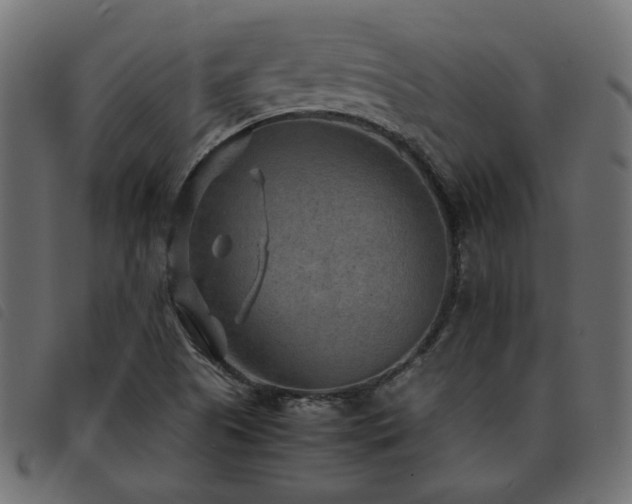 X0000093591505200710151154