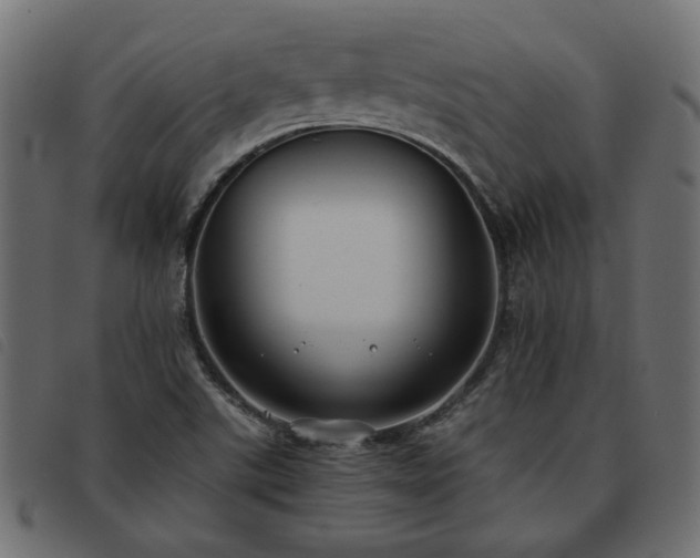 X0000093591507200710151154