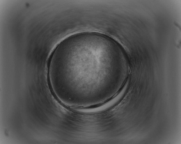 X0000093591508200710151154