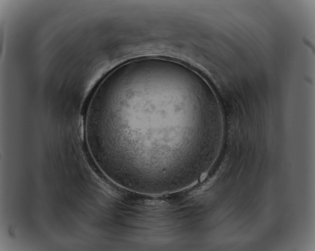 X0000093591509200710151154