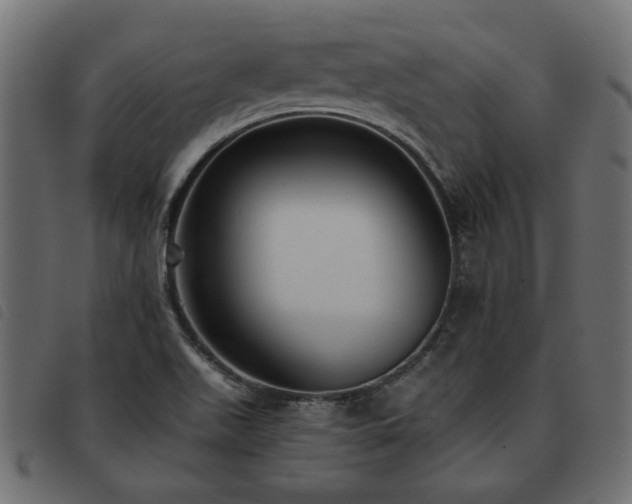 X0000093591511200710151154