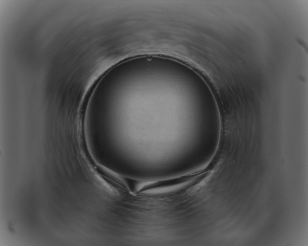 X0000093591517200710151154