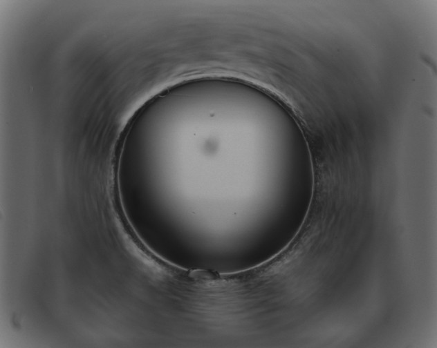 X0000093591518200710151154