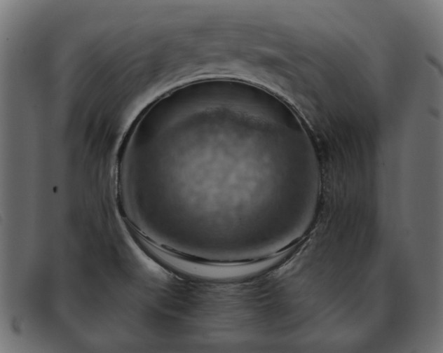 X0000093591519200710151154